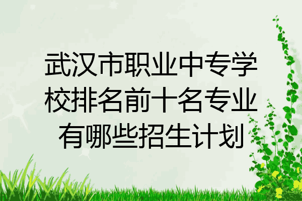 武汉市职业中专学校排名前十名专业有哪些招生计划