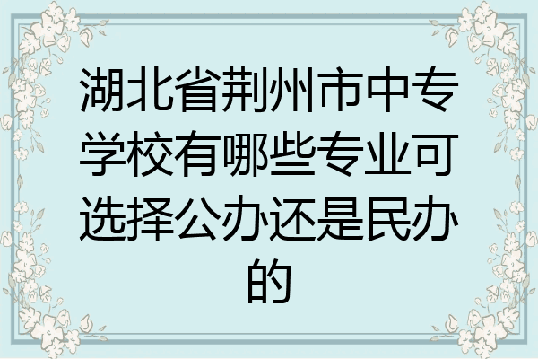湖北省荆州市中专学校有哪些专业可选择公办还是民办的