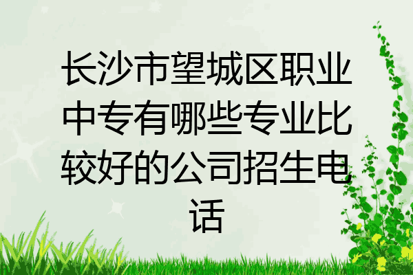 长沙市望城区职业中专有哪些专业比较好的公司招生电话