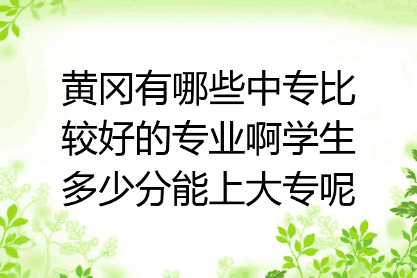 黄冈有哪些中专比较好的专业啊学生多少分能上大专呢