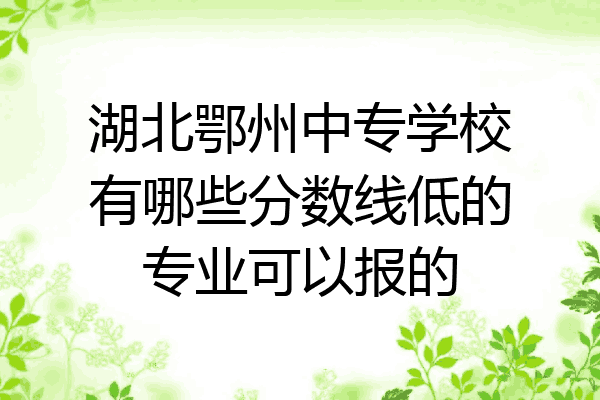湖北鄂州中专学校有哪些分数线低的专业可以报的