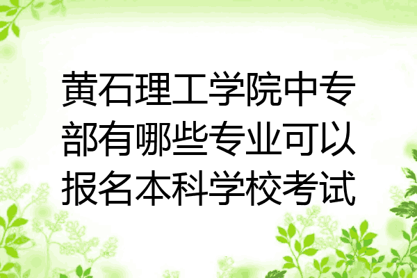 黄石理工学院中专部有哪些专业可以报名本科学校考试