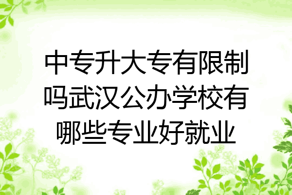 中专升大专有限制吗武汉公办学校有哪些专业好就业