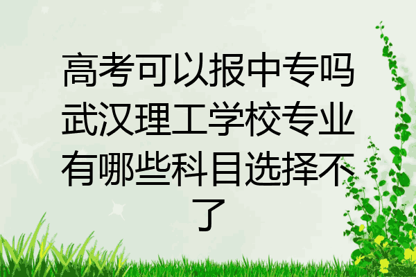 高考可以报中专吗武汉理工学校专业有哪些科目选择不了