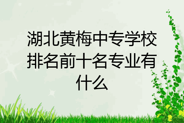 湖北黄梅中专学校排名前十名专业有什么