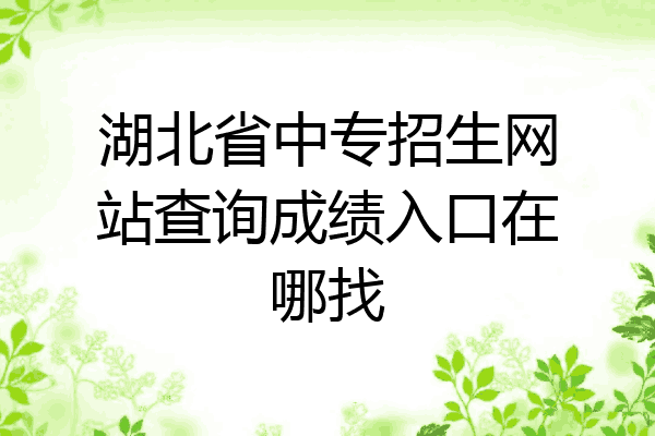湖北省中专招生网站查询成绩入口在哪找