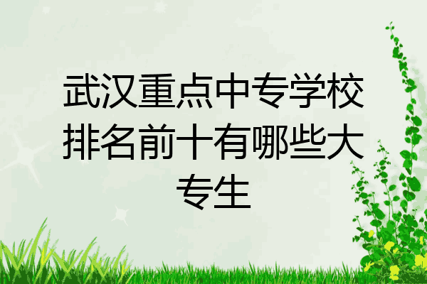 武汉重点中专学校排名前十有哪些大专生