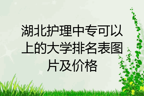 湖北护理中专可以上的大学排名表图片及价格