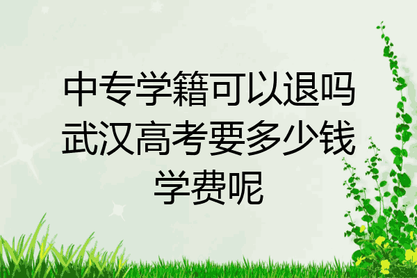中专学籍可以退吗武汉高考要多少钱学费呢