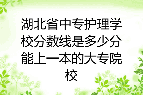 湖北省中专护理学校分数线是多少分能上一本的大专院校