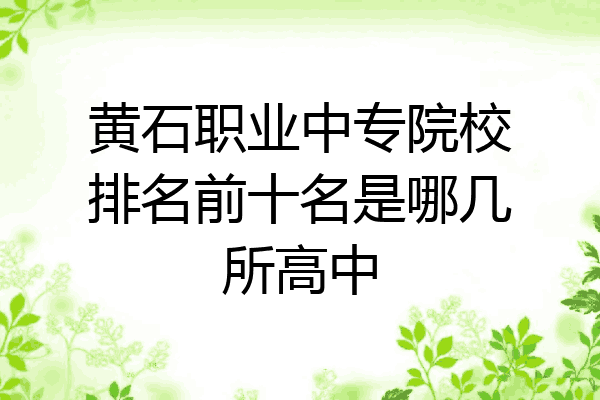 黄石职业中专院校排名前十名是哪几所高中