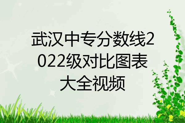 武汉中专分数线2022级对比图表大全视频