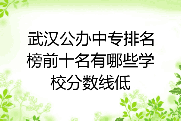 武汉公办中专排名榜前十名有哪些学校分数线低