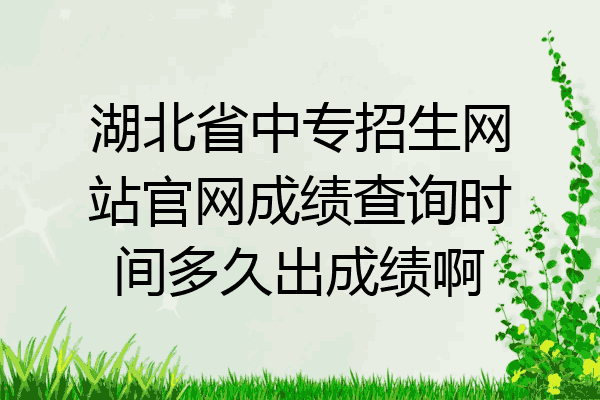 湖北省中专招生网站官网成绩查询时间多久出成绩啊