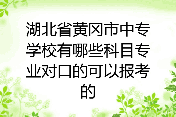 湖北省黄冈市中专学校有哪些科目专业对口的可以报考的