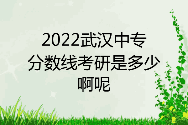 2022武汉中专分数线考研是多少啊呢