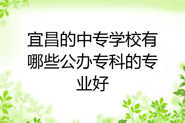 宜昌的中专学校有哪些公办专科的专业好