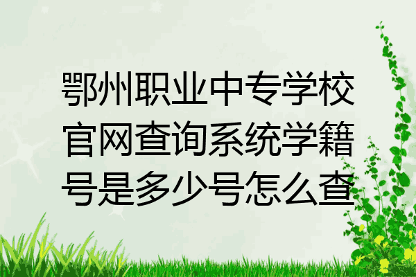 鄂州职业中专学校官网查询系统学籍号是多少号怎么查