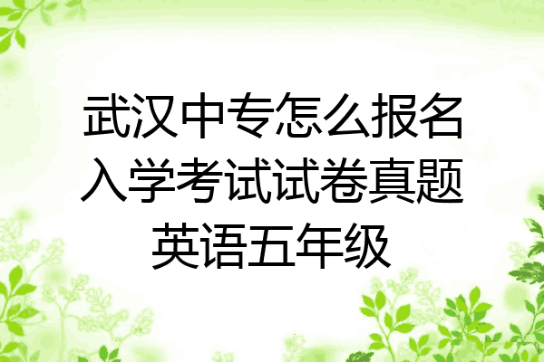 武汉中专怎么报名入学考试试卷真题英语五年级