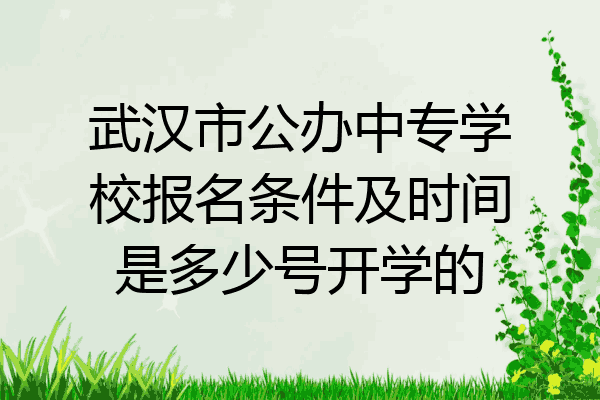 武汉市公办中专学校报名条件及时间是多少号开学的