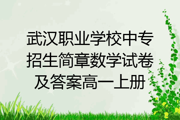 武汉职业学校中专招生简章数学试卷及答案高一上册