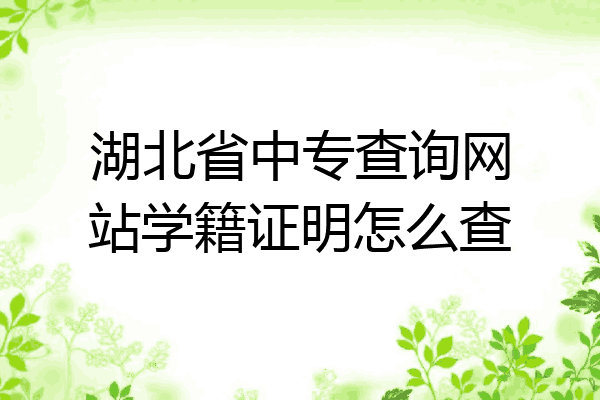 湖北省中专查询网站学籍证明怎么查