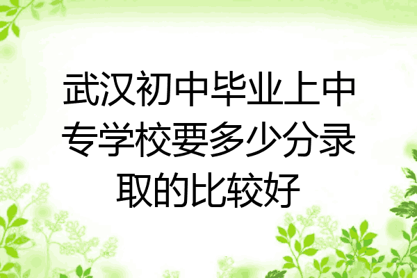 武汉初中毕业上中专学校要多少分录取的比较好