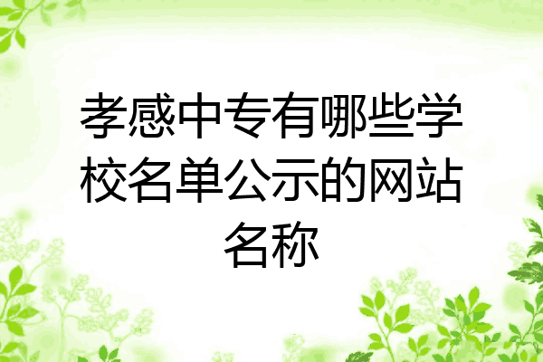 孝感中专有哪些学校名单公示的网站名称