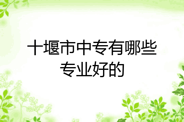 十堰市中专有哪些专业好的