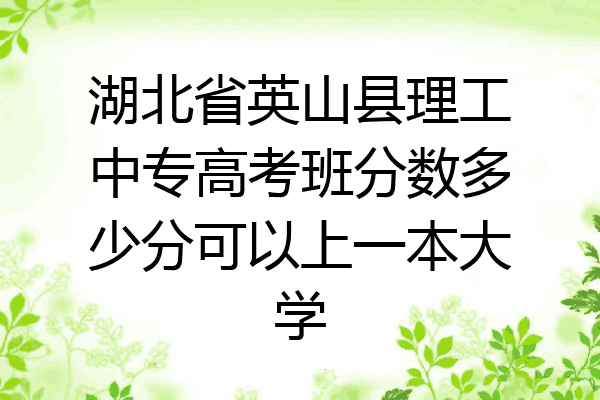 湖北省英山县理工中专高考班分数多少分可以上一本大学