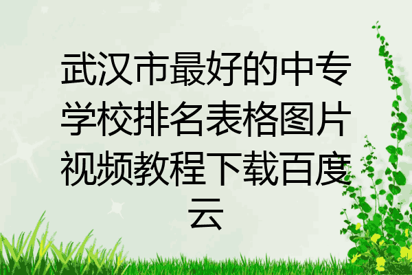 武汉市最好的中专学校排名表格图片视频教程下载百度云