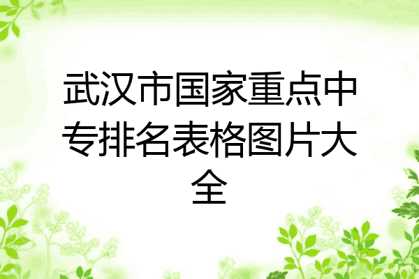 武汉市国家重点中专排名表格图片大全
