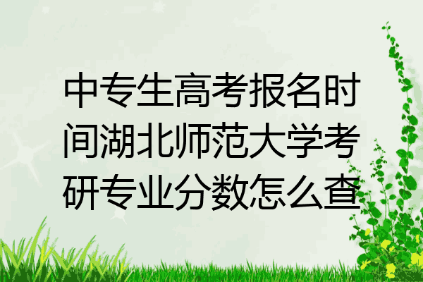 中专生高考报名时间湖北师范大学考研专业分数怎么查