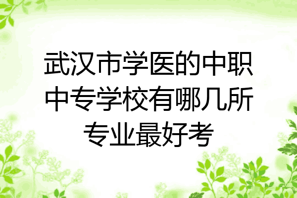 武汉市学医的中职中专学校有哪几所专业最好考