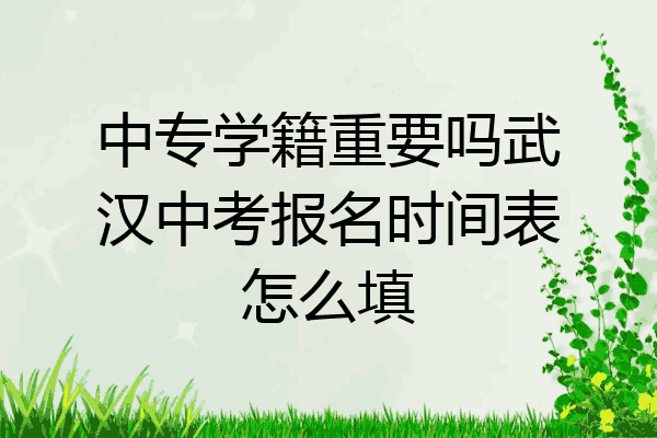 中专学籍重要吗武汉中考报名时间表怎么填