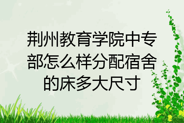 荆州教育学院中专部怎么样分配宿舍的床多大尺寸