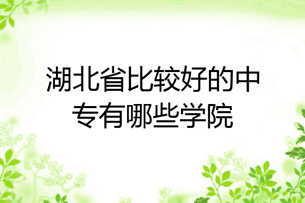 湖北省比较好的中专有哪些学院
