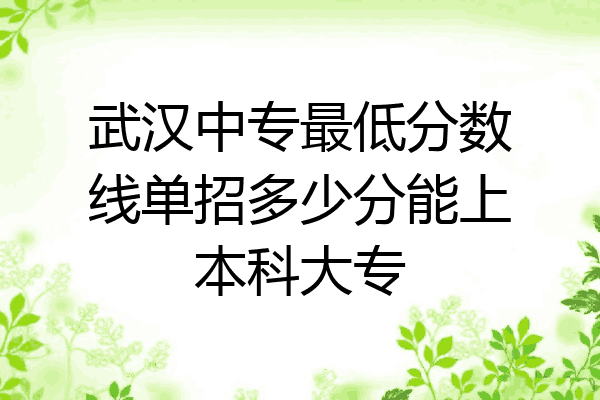 武汉中专最低分数线单招多少分能上本科大专
