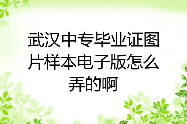 武汉中专毕业证图片样本电子版怎么弄的啊