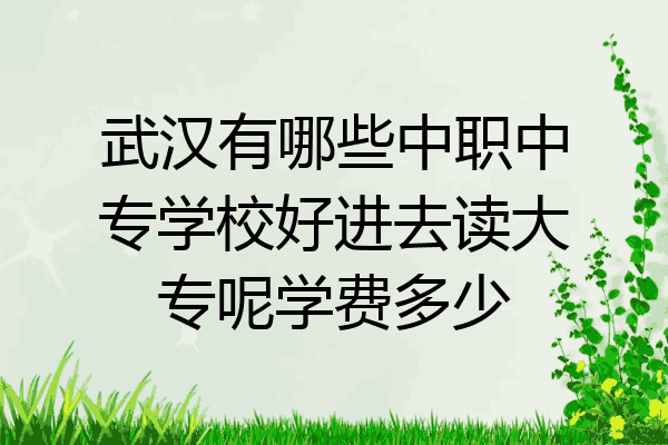 武汉有哪些中职中专学校好进去读大专呢学费多少