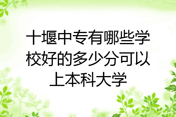 十堰中专有哪些学校好的多少分可以上本科大学