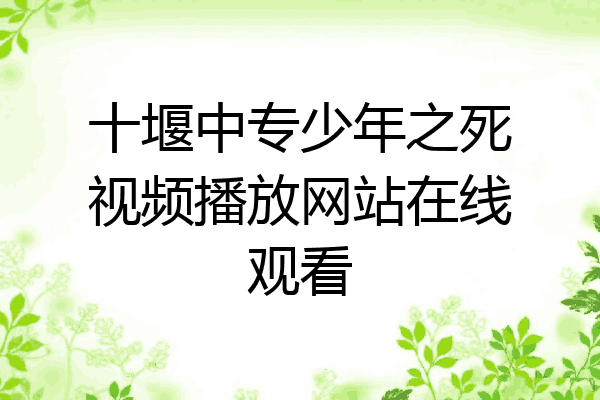 十堰中专少年之死视频播放网站在线观看