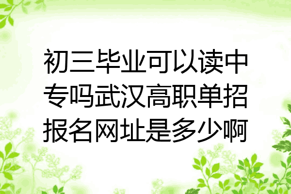 初三毕业可以读中专吗武汉高职单招报名网址是多少啊