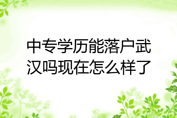 中专学历能落户武汉吗现在怎么样了