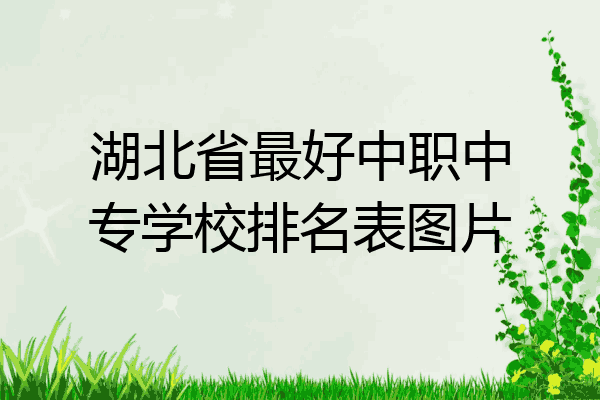 湖北省最好中职中专学校排名表图片