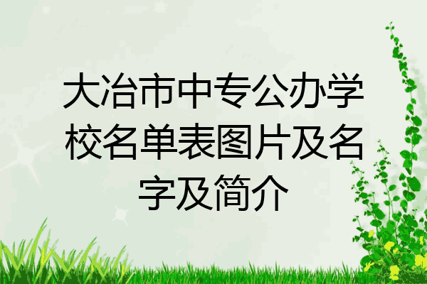 大冶市中专公办学校名单表图片及名字及简介