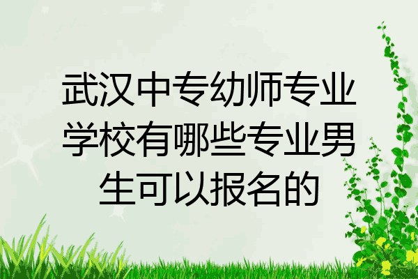 武汉中专幼师专业学校有哪些专业男生可以报名的