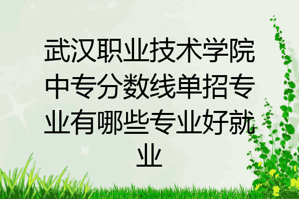 武汉职业技术学院中专分数线单招专业有哪些专业好就业
