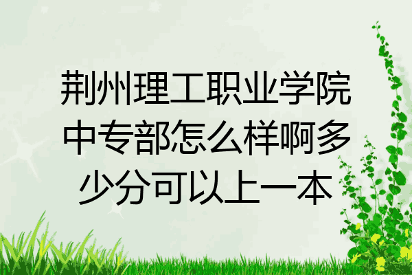 荆州理工职业学院中专部怎么样啊多少分可以上一本