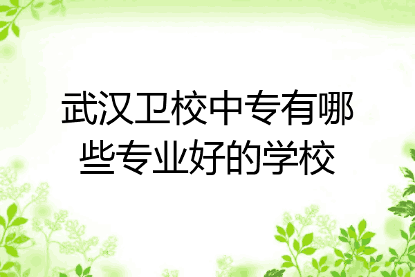 武汉卫校中专有哪些专业好的学校